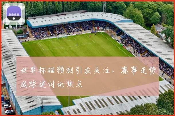 世界杯猫预测引发关注，赛事走势成球迷讨论焦点