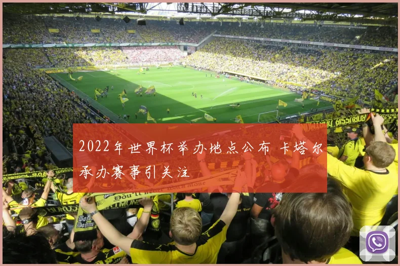 2022年世界杯举办地点公布 卡塔尔承办赛事引关注