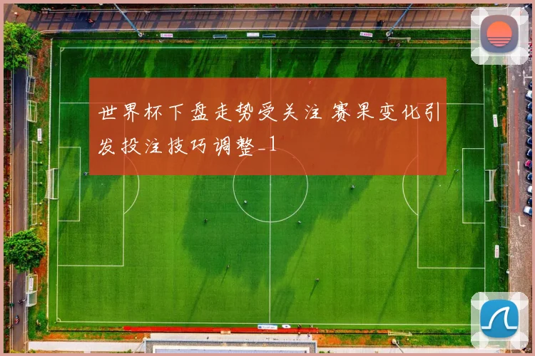 世界杯下盘走势受关注 赛果变化引发投注技巧调整_1
