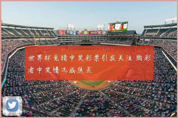 世界杯竞猜中奖彩票引发关注 购彩者中奖情况成焦点