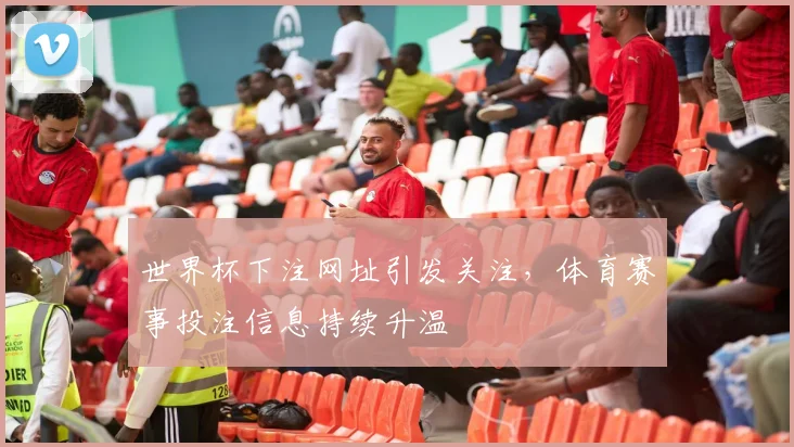 世界杯下注网址引发关注，体育赛事投注信息持续升温