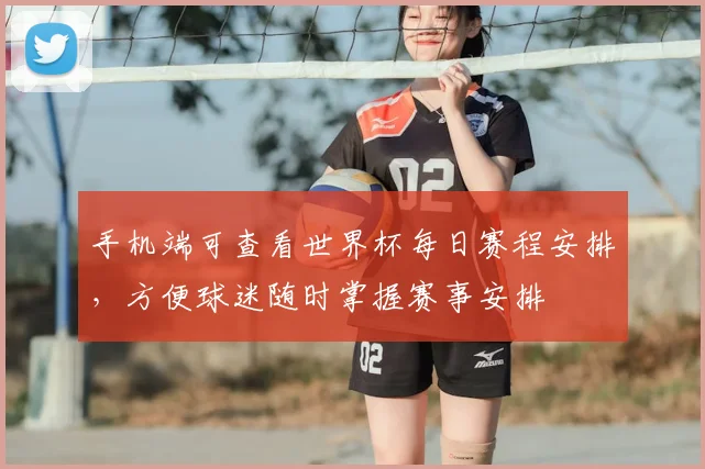 手机端可查看世界杯每日赛程安排，方便球迷随时掌握赛事安排