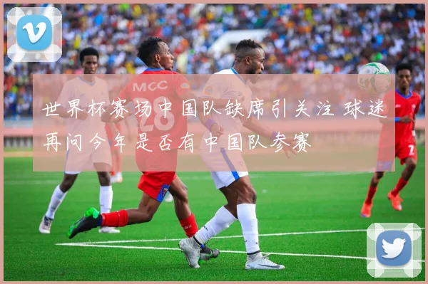 世界杯赛场中国队缺席引关注 球迷再问今年是否有中国队参赛