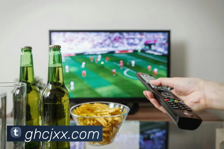 世界杯平台官网登录服务体系