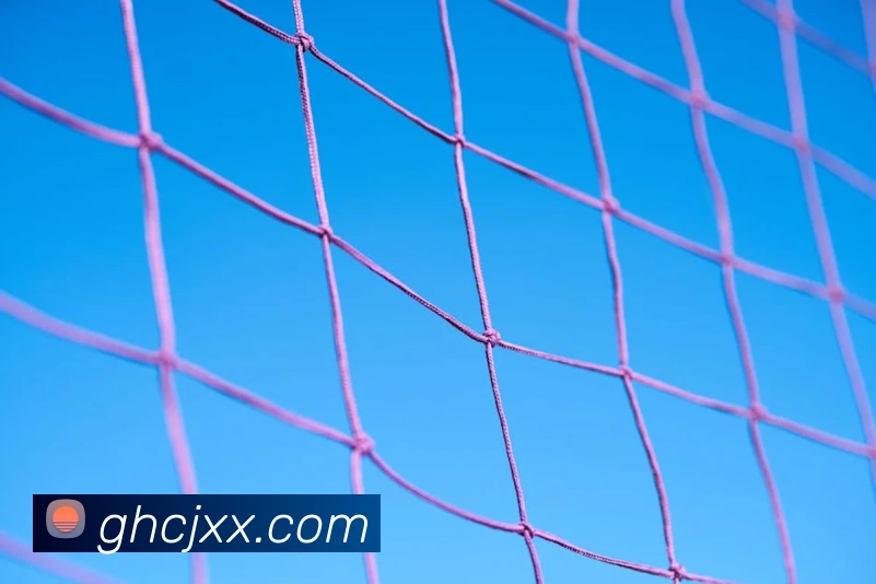 beat365平台唯一官网全站App